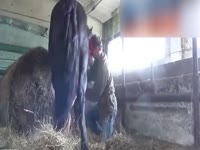 Teen animal sex got showered by horse cum